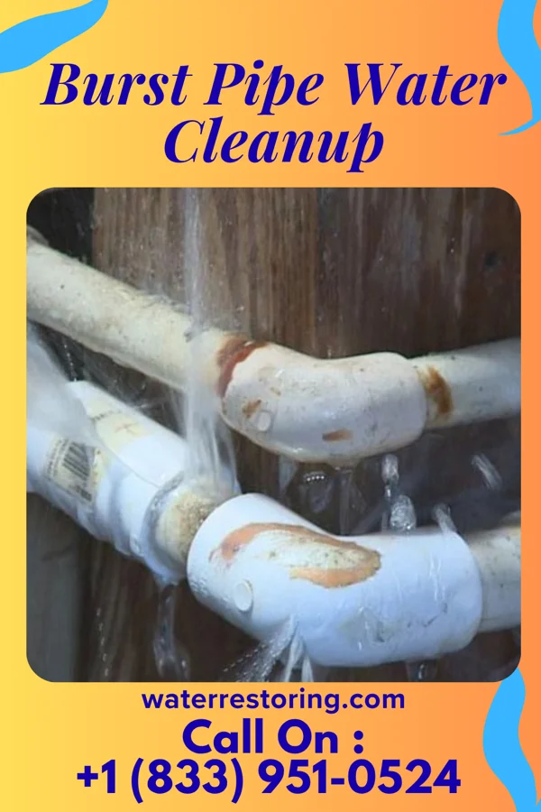 Burst Pipe Water Cleanup in Kampsville, IL