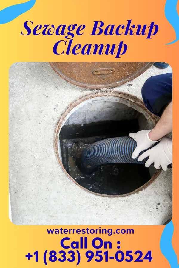Sewage Backup Cleanup in Kampsville, IL
