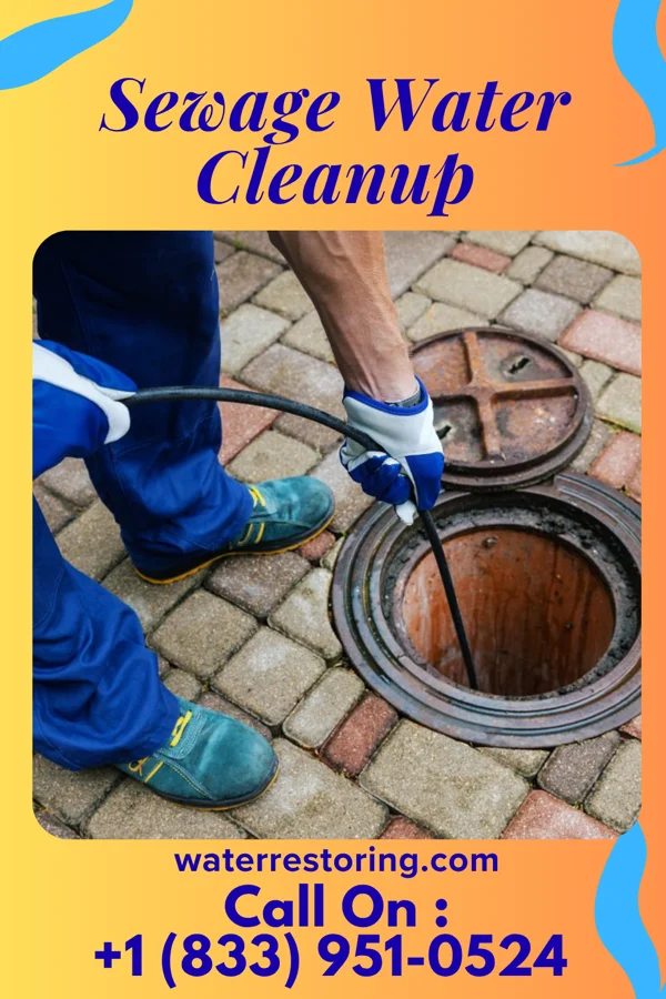 Sewage Water Cleanup in Kampsville, IL